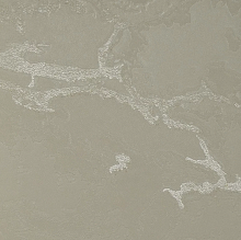 Бежевые обои в прихожую Bernardo Bartalucci Gaga  84282-3