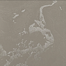 Бежевые обои в прихожую Bernardo Bartalucci Gaga  84282-9