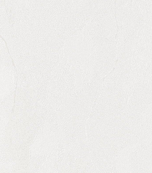 Бежевые обои в прихожую Bernardo Bartalucci Gaga  84284-17