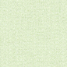 Зелёные обои в прихожую Alessandro Allori Bruni 1002-35 RBN