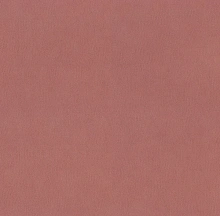 Красные обои в прихожую Alessandro Allori Argiano 15023-10