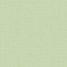 Зелёные обои в прихожую Alessandro Allori Bruni 1002-36 RBN