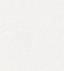 Бежевые обои в прихожую Bernardo Bartalucci Gaga  84284-4