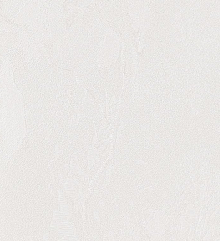 Bernardo Bartalucci Gaga  84284-20